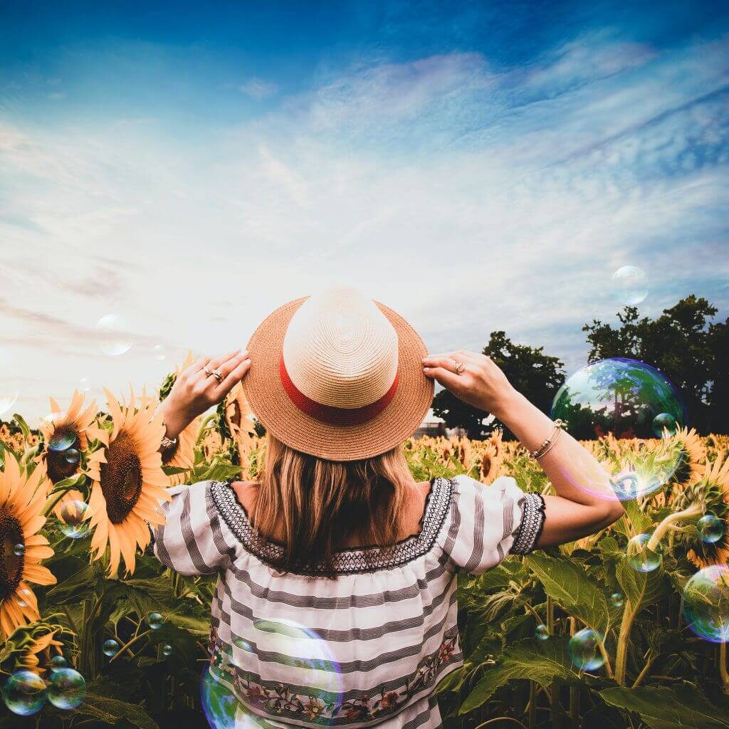 Mulher de chapéu elegante em um campo de girassóis em um amanhecer lindo.